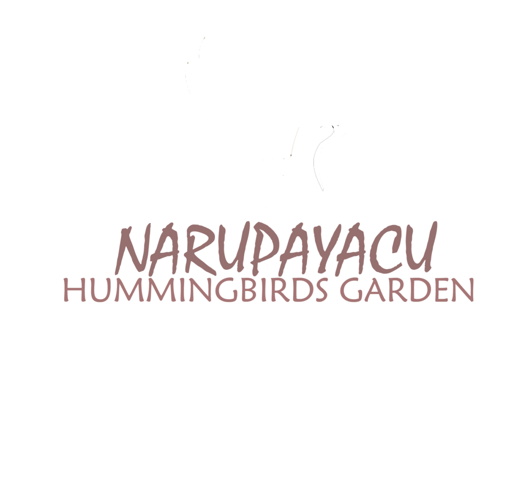 humming narupayacu logoo22222 (1)